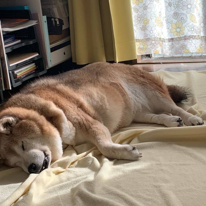 Daf7d332 be03 4ac1 bc07 aabbd5e9ba7a 1667105400605