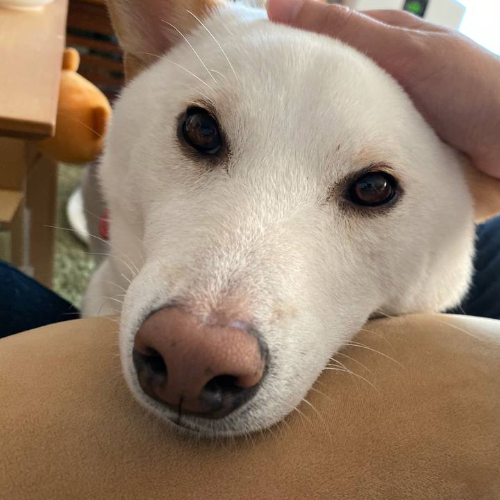 Daf7ff75 a048 45dc 9c81 8080fd07be1c 1573204065866