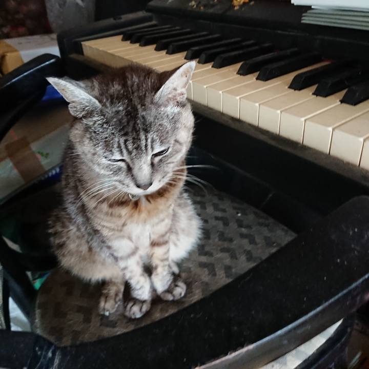 Daf8446b a9fb 47eb b4ea 0a5340cc6c74 1567295168704