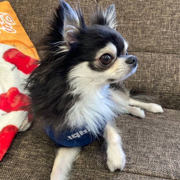 Daf8599e bad0 4f69 991e c73fe53ea876 1703933496382