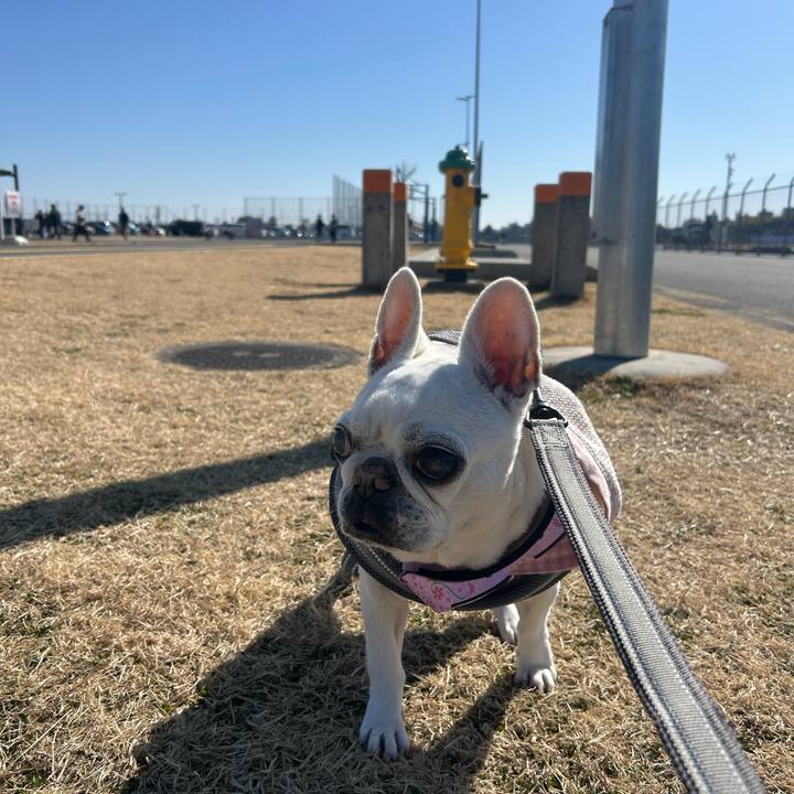 Daf8692c 6d63 4b1c 90ca 8ed416d97453 1771648776869