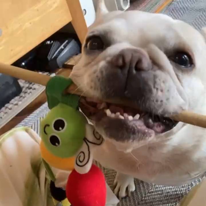 Daf882e5 1c6f 47ba a220 8212f28ec582 1752101281918