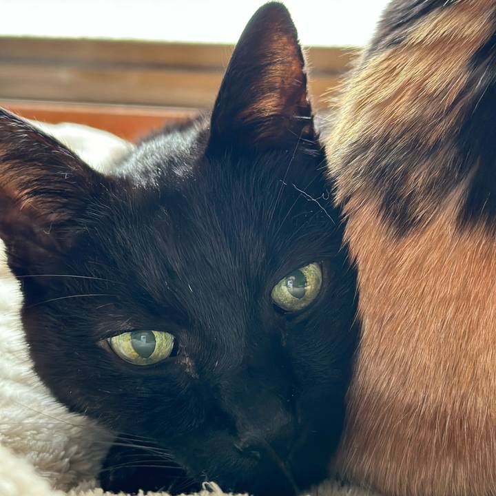 Daf899c9 1637 45c4 b896 ec5546aa8861 1709691864793