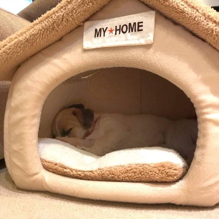 Daf89c56 d17b 4aba a195 2cb3843895ba 1765460631716