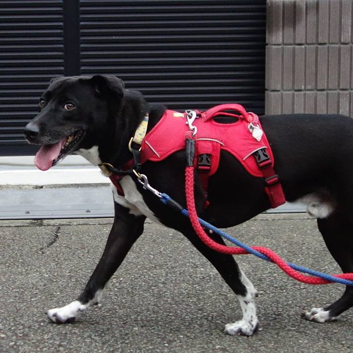 Daf904ef f7c7 4b1a 9af4 05011aed703a 1632534564925