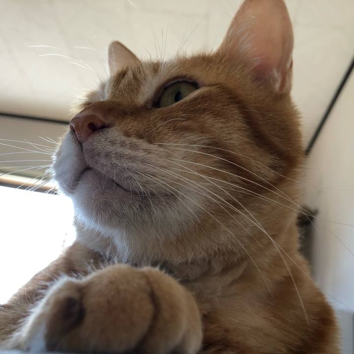 Daf917b6 a8dc 4577 a4f0 e98d059fb9f3 1595638943583