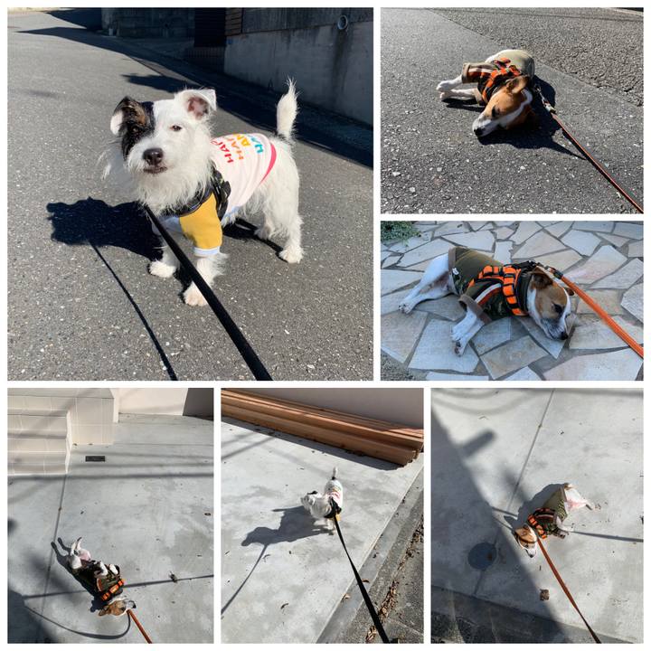 Daf91c5d 9f15 4207 bb7b e464f7ca4011 1573088658688