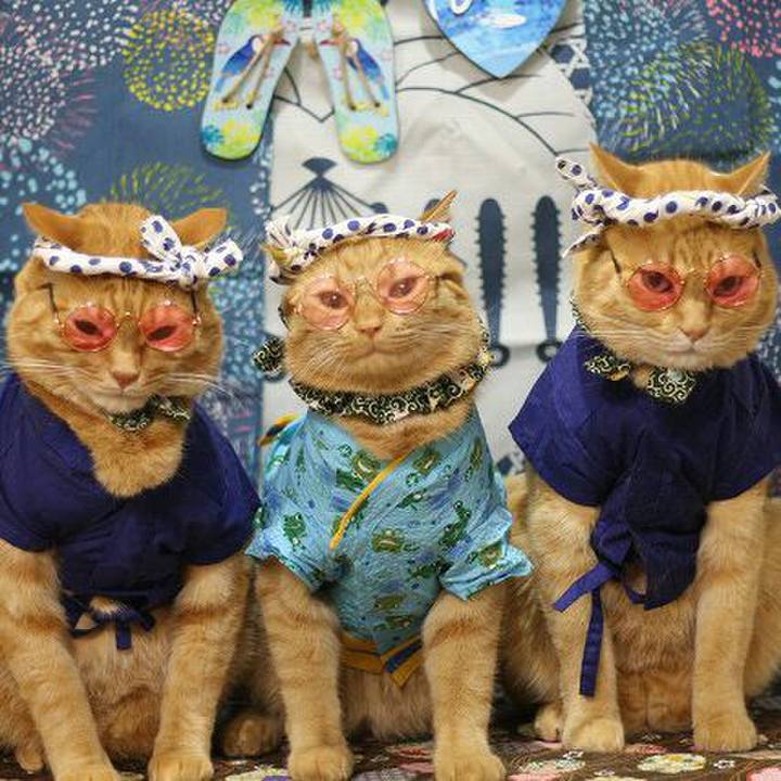 Daf95b4d 80f0 490a 88b9 21b77a3c1a86 1565710370895