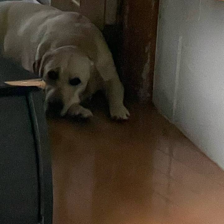 Daf968ed e863 4f97 9d4b 7eae97ac64f0 1647900669997