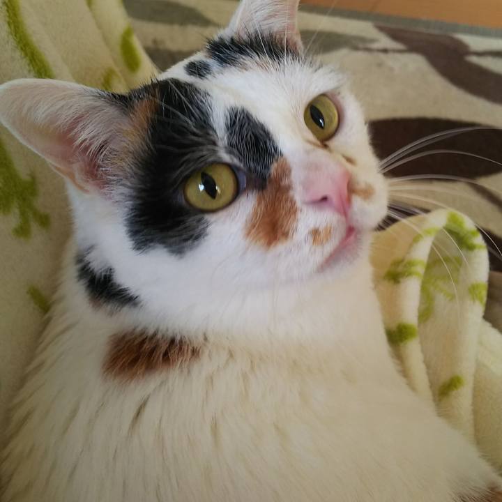 Daf97b9d 7f00 4031 a2d0 027fe4a6f1b4 1576367640785