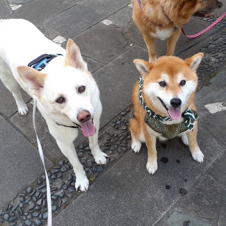 Daf97bd9 ecc7 48d8 abe8 bf9b944793e5 1656116988154