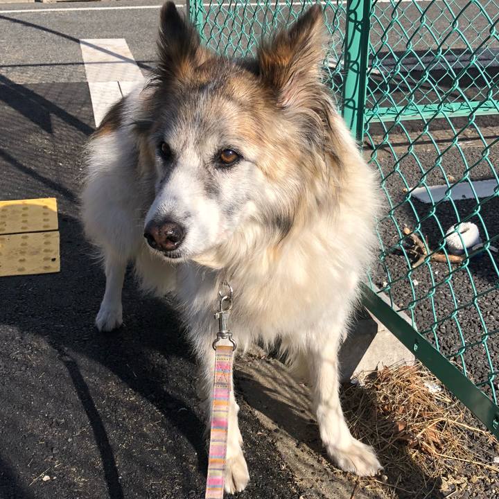 Daf98b86 ca52 479b a1a3 a512f80ef796 1514255315153