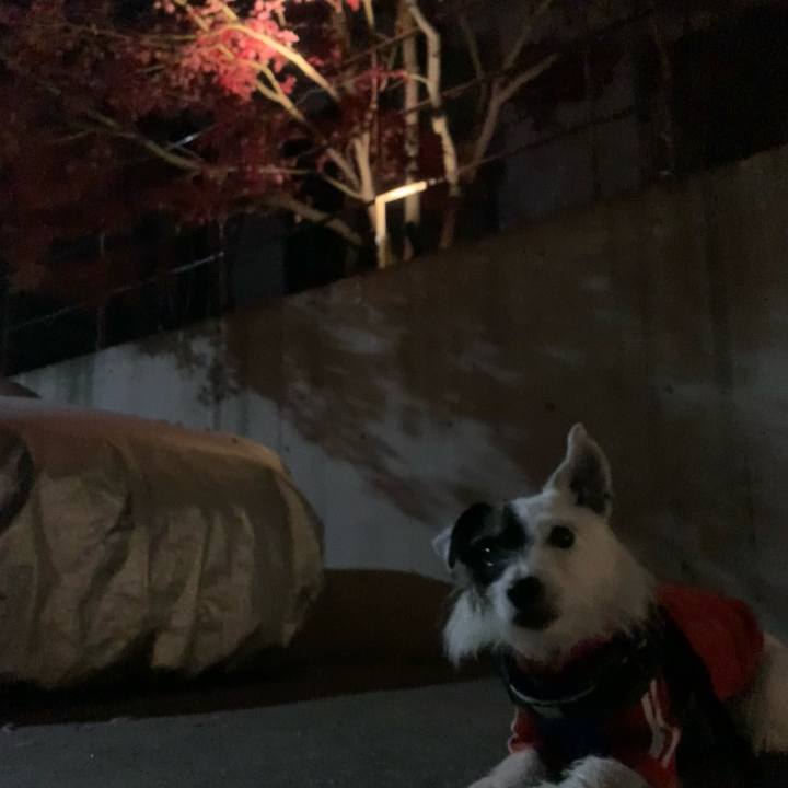 Daf9dc72 7169 4f0c 8e63 eda323128c60 1734440112918