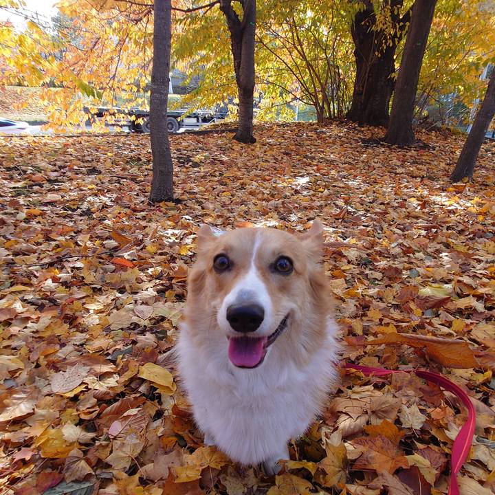 Daf9fbb9 681f 4fa1 8ed3 11c61e5cb490 1762136346601