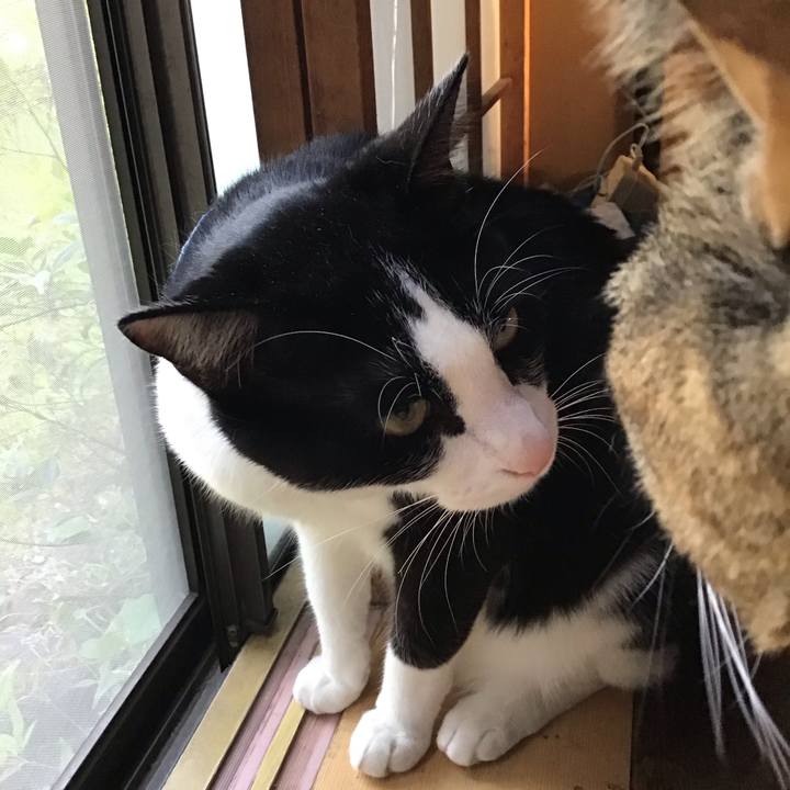 Dafa0bb8 d77d 4b9e a236 aa333b195792 1681986881198