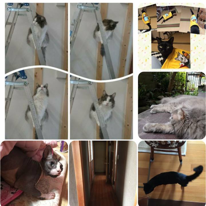 Dafa34ef b451 4d7c 9dc3 4c60c87e1a03 1566381790890