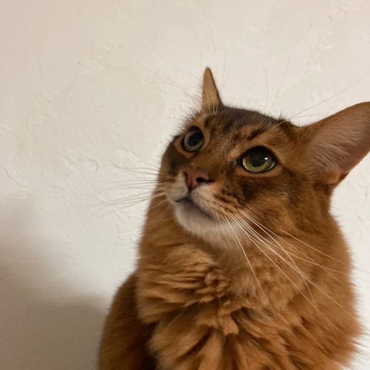 Dafa4e12 cc03 47d3 b4e3 0eb43862b1b1 1663455399490