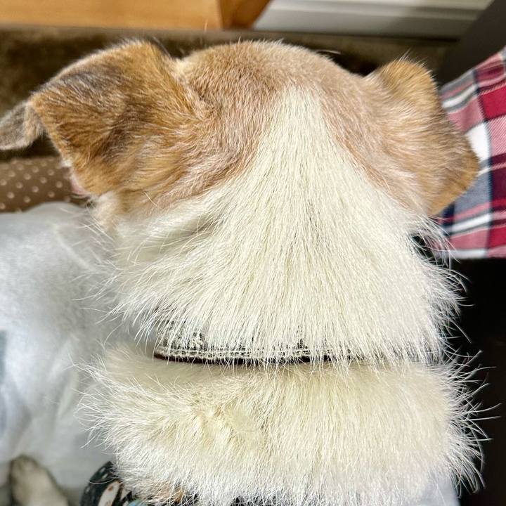 Dafa5d7a 4b1c 475b a7ba 42d31af52bbb 1708644609558