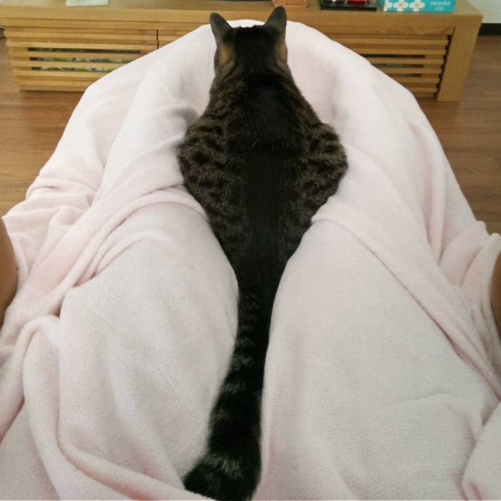 Dafa66d2 19e1 42f5 a1d8 42d9c95e8083 1757495312367