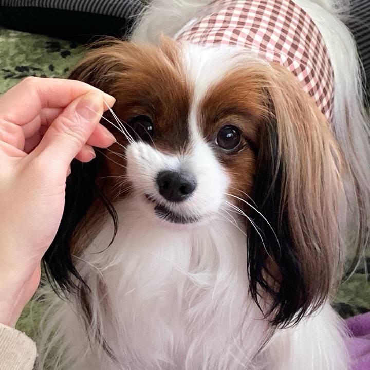 Dafa68c7 622e 4769 b5c8 ae6efe7d5633 1651219497816