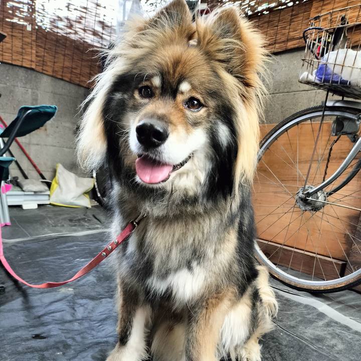 Dafa9f3d 0bcb 4212 8932 b1197162fbb6 1687354552102