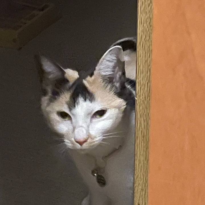 Dafaf0b0 d37d 4fa5 ae92 c8962eb8042e 1709292900010