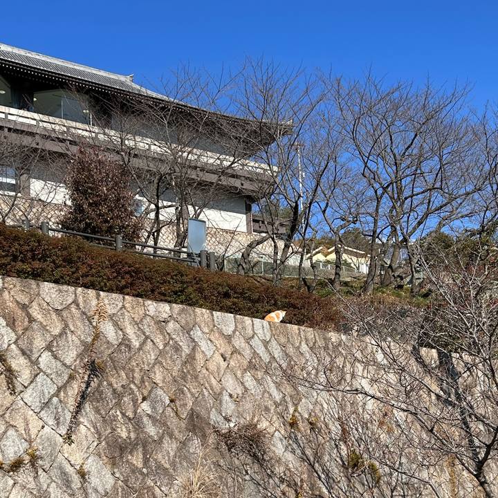 Dafb0f81 8253 4304 8c92 44b1a4385bfc 1768370199278