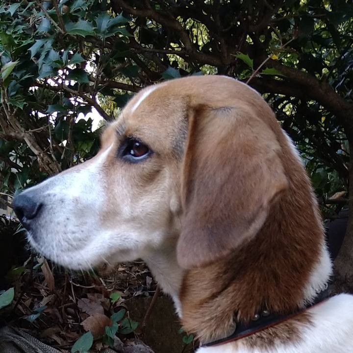 Dafb41a2 36ea 477b 94d4 7368ee38676f 1631974400905