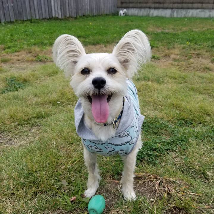 Dafb41d3 ba87 4dbb 9bb8 b9bb6d20e38d 1539774807839