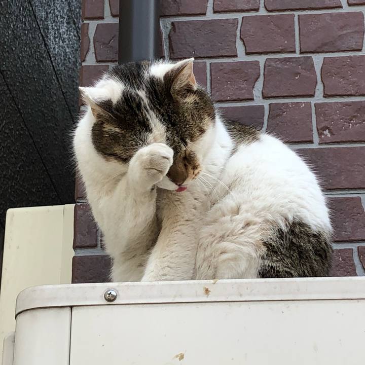 Dafb55ce 34b7 4f5c bf5a 775b647c3261 1516091719437