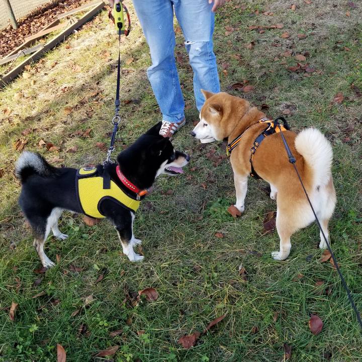 Dafb56ce a721 4495 9aa3 ec9579f92a5a 1605762971185