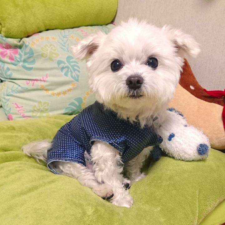 Dafb9d99 5167 4da2 b937 0438994f032a 1517546756685