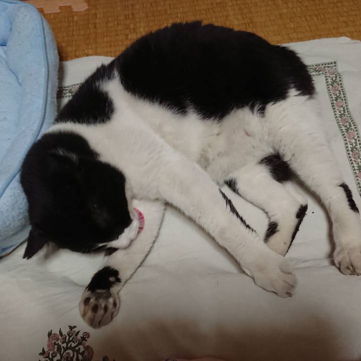 Dafba5be b5a3 4dfd ac35 6d806b5bc313 1527336520749