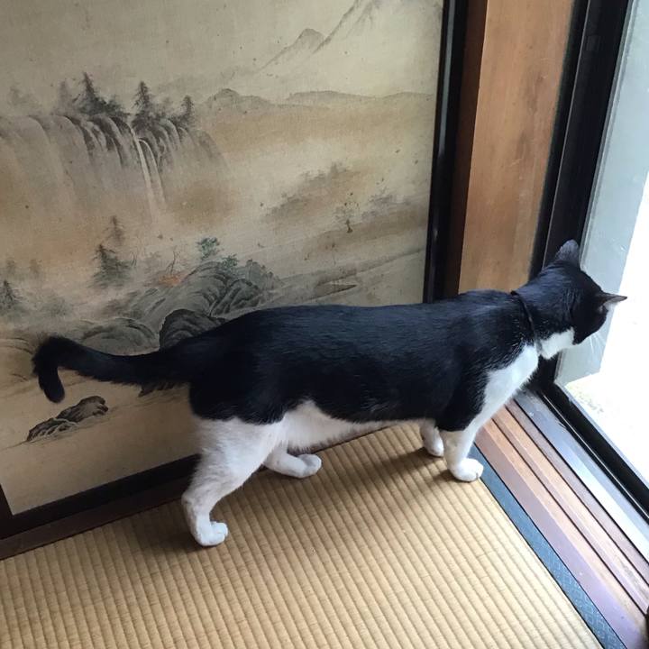 Dafbab61 c68b 4b16 bebc 963647016d6a 1690372574495