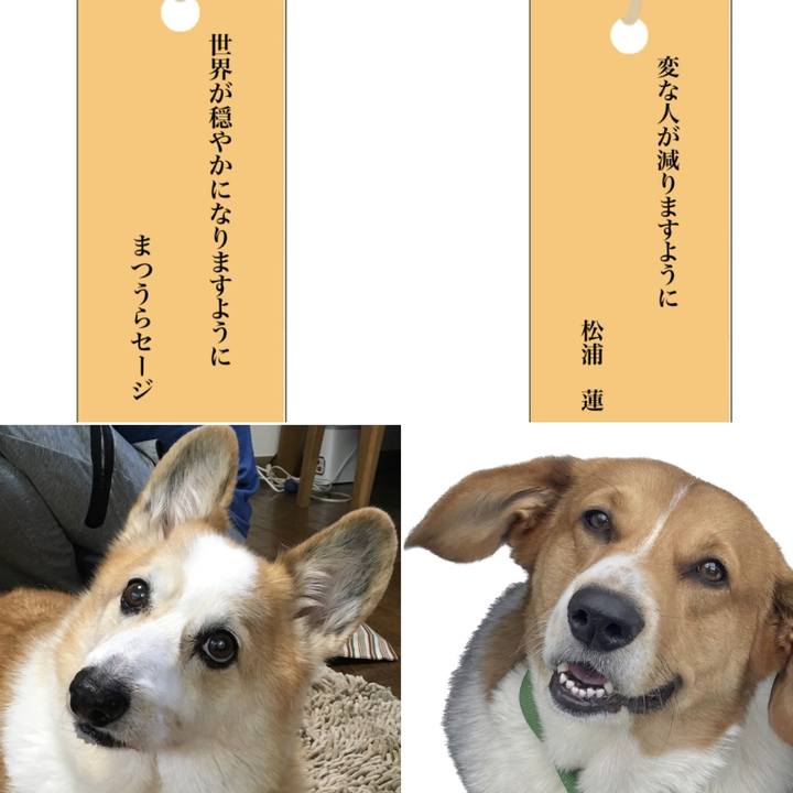 Dafbccfd c70e 424c b526 2a02622b71b5 1720326928990