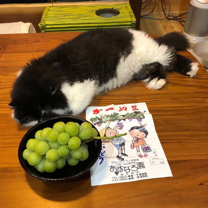 Dafbefc4 ef54 4d48 bb3b c07ad8558058 1569671227968