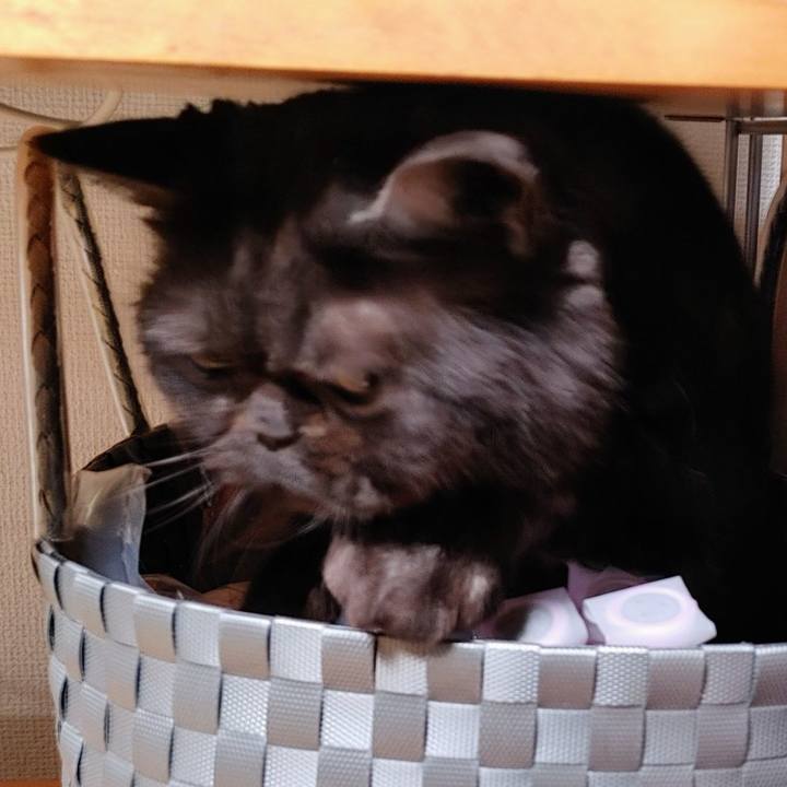 Dafbfbed deb5 4410 8307 3dde6c4a856a 1646213030557