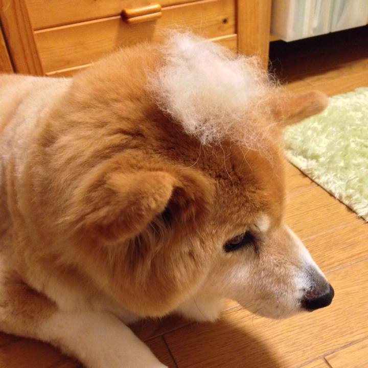 Dafc1683 1c27 43b3 90b3 3926a44d7323 1551520024738