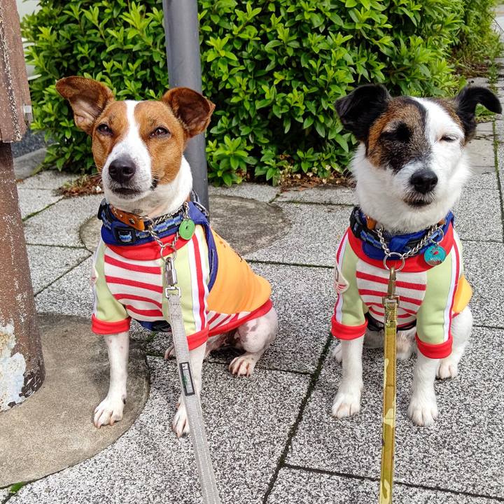 Dafc352c a208 49e8 b9db 3b96428de67f 1621723591060