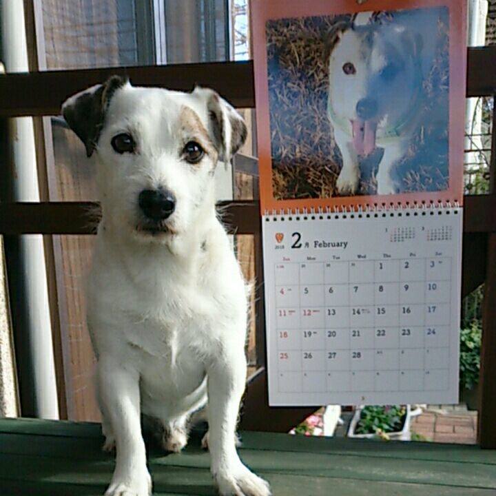 Dafc45d0 bb9a 48e8 a68e bdbf7475fa32 1511051824047