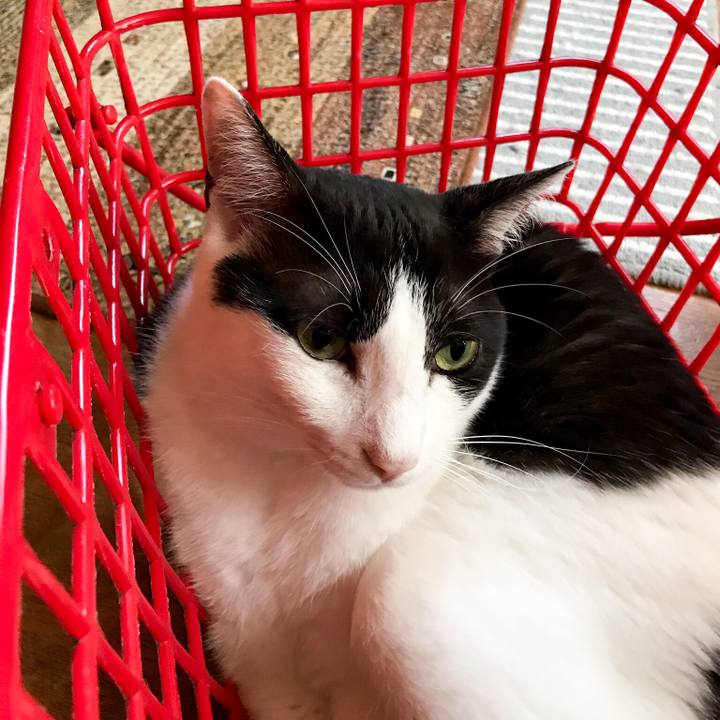 Dafc4640 ccd0 4dac a2eb 13c191b5af75 1533256867121