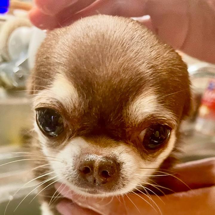 Dafc524c 27b6 4a03 bb97 4274ef156336 1737788566197