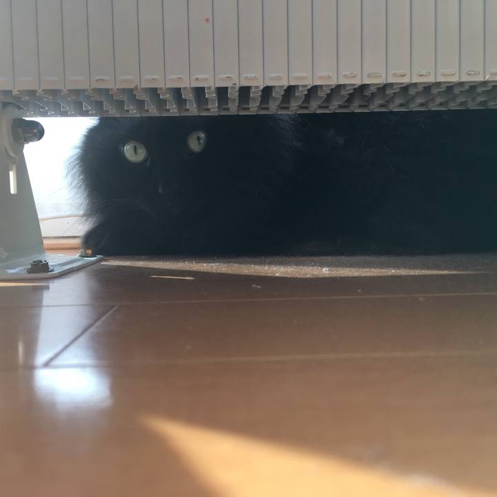 Dafc591a 206f 4917 b92d 39c837fb2555 1548569355866