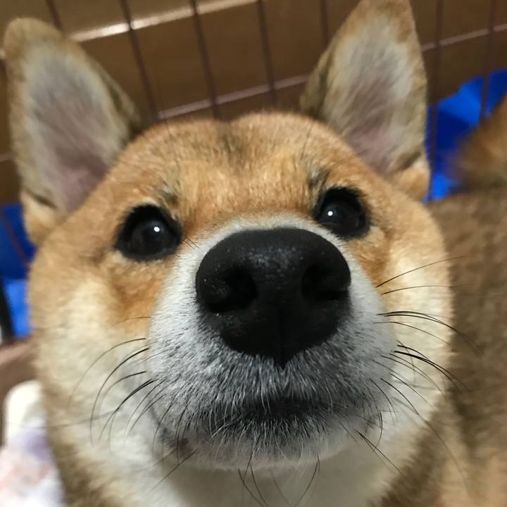 Dafc5f96 1abc 4251 bb23 0c36b029dfd5 1537532135799