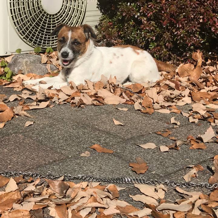 Dafc6391 62be 4acd 9e9d 0989047dd62a 1515036614907