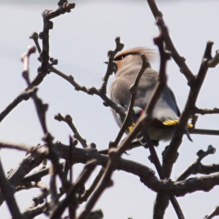 Dafcc837 e563 47b1 ac2e 647c61530ba5 1520822587116