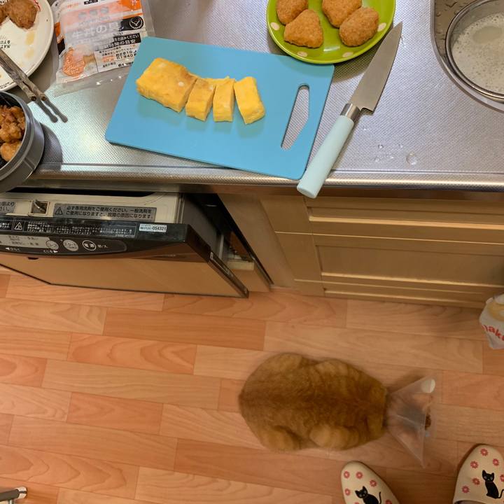 Dafcda0a 470b 4008 95df a5c07d05d77f 1566769107818