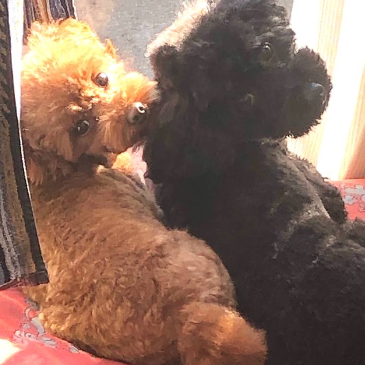 Dafcda23 3c87 4b92 b490 ab6bb82e7614 1578017016687