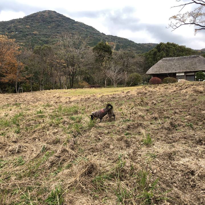 Dafd1d7b e148 406b 94c4 215277349b44 1575786470225