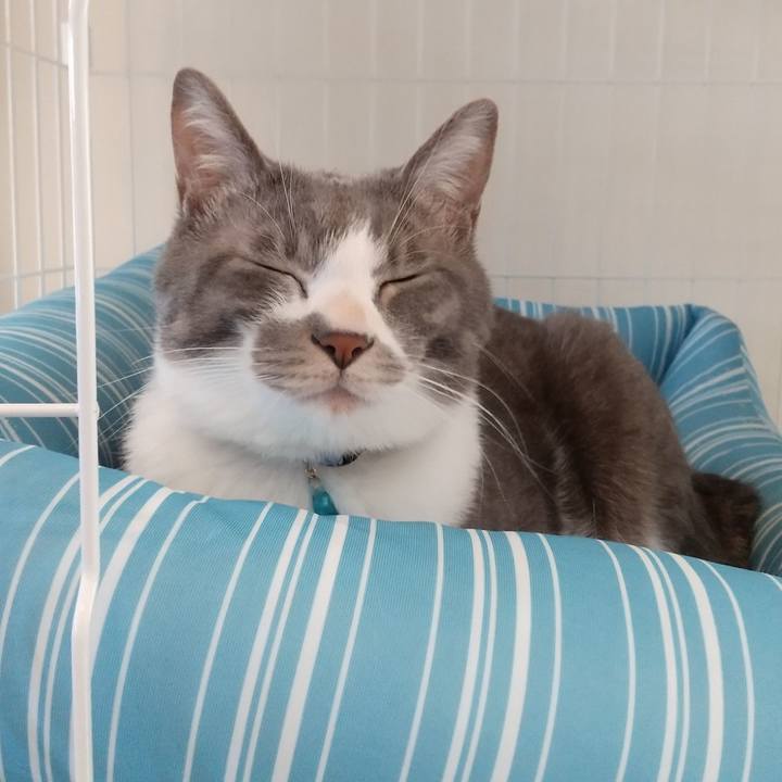 Dafd21ae eb85 41f4 b730 8652ff457b43 1614396892786